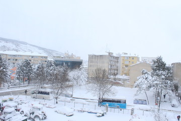 Snow view