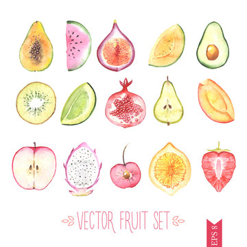 Watercolor vector fruit set