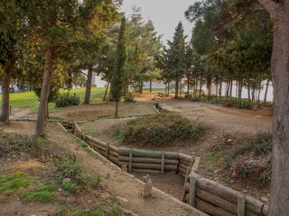 Trenches of Gallipoli