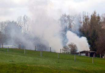 Laubverbrennung