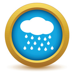Gold rain icon