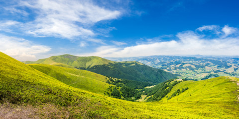 Fototapeta na wymiar summer green meadow in mountain panorama