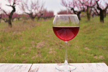 Wineglass with red wine on the table at the peach tree garden
