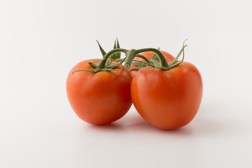 the tomatos on white background