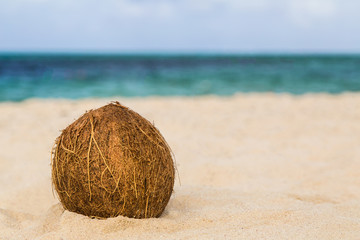 eine Kokosnuss liegt am Strand
