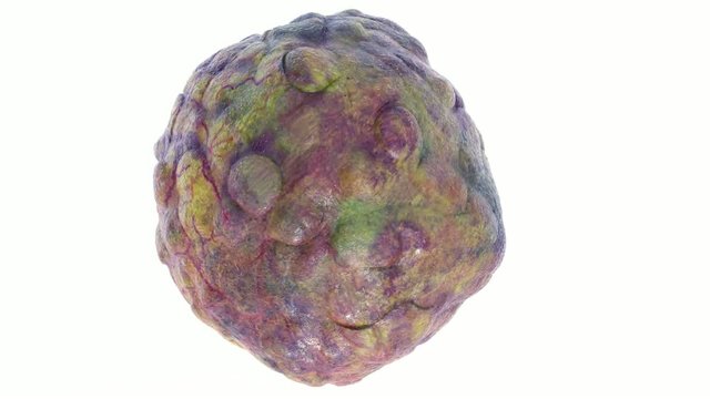 Virus