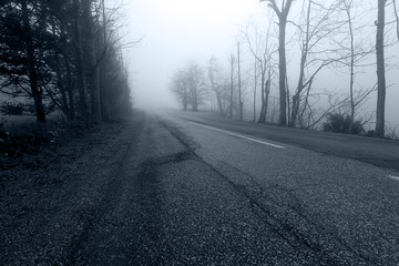 Fototapeta premium Road in the mist