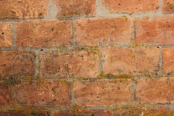 Obraz premium Old red brick wall