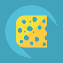 Flat modern design with shadow cheese, cheese product