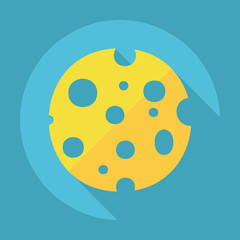 Flat modern design with shadow cheese, cheese product