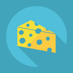 Flat modern design with shadow cheese, cheese product