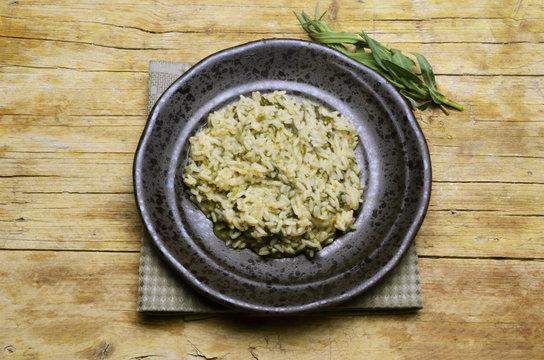 Silene vulgaris Bladder campion Sclopit Lepnica rozdęta