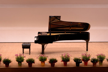 コンサート会場のピアノ