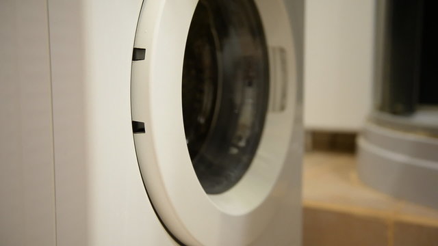 Washing machine and laundry 