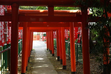 Orange Gate at Fushimi-Inari