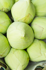 Bunch of bawtom lotus for Buddhist worshiping buddha statue