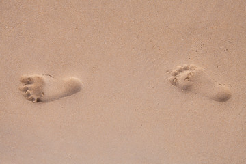 Footprints on the beach.