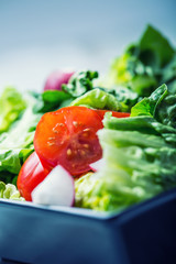 Fresh lettuce salad with cherry tomatoes  radish and carafe with