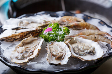 Oysters