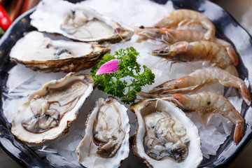 Oysters