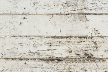 Old white wood background texture