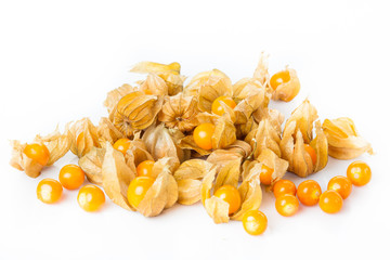 physalis isolated on white background