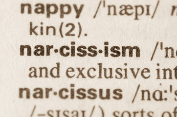 Dictionary definition of word narcissm