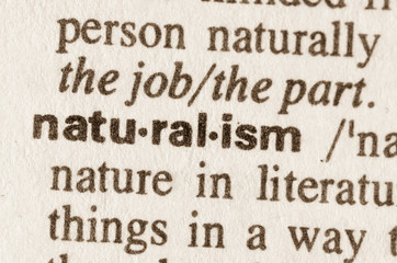 Dictionary definition of word naturalism