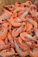 langouste