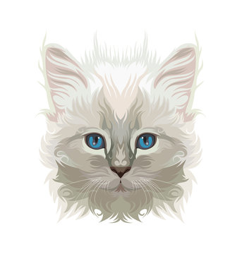 White Cat Vector