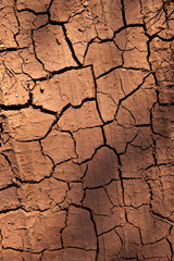 Terre de sécheresse