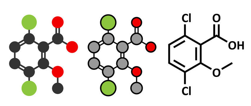 Dicamba herbicide molecule. Used in weed control.