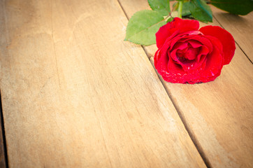 red rose on the wooden