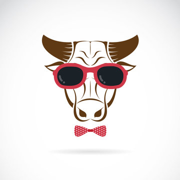 Vector images of bull wearing sunglasses on white background.