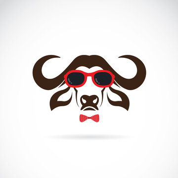 Vector images of buffalo wearing sunglasses on white background.