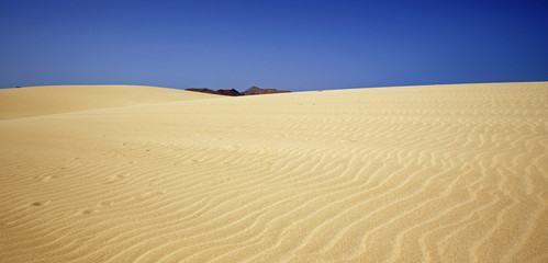 dessins sur les dunes sable dans le désert de fuerteventura