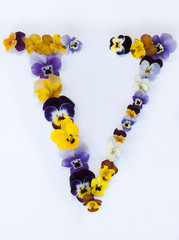 letter V alphabet made from pansy flowers