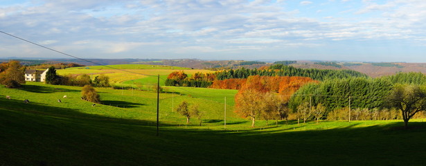 Naklejka premium Eifel Panorama