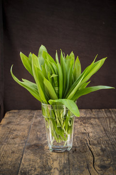 Bio-B&auml;rlauch (Allium ursinum) auf Holzuntergrund