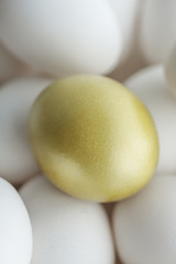 金色のたまご