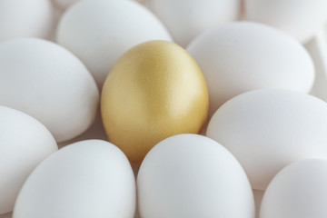 金色の卵