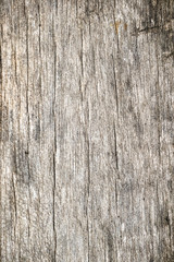 Naklejka premium Wood Texture background.