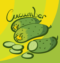 Vector Сucumber