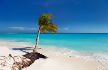 Fototapeta na wymiar Perfect tropical beach