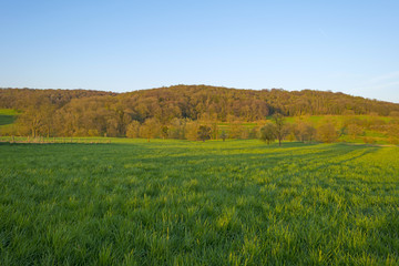 Obraz premium Sunlight over over a hill under a hazy blue sky