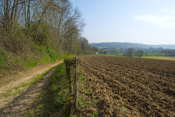 Obraz premium Dirt road through sunny farmland in spring