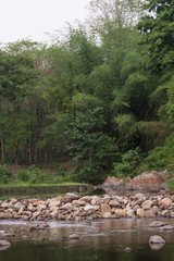 Fototapeta na wymiar canal in forest at Huai Kha Khaeng Wildlife Sanctuary, Thailand,
