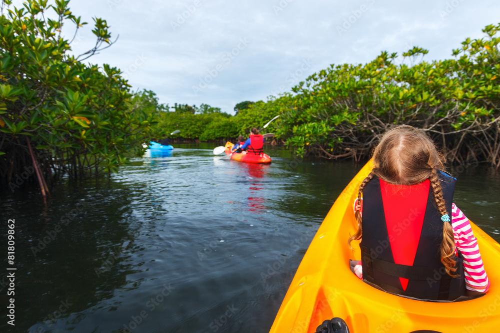 Wall mural Family kayaking in mangroves