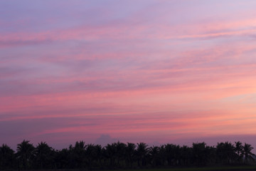 Fototapeta na wymiar Colorful of Evening Sky