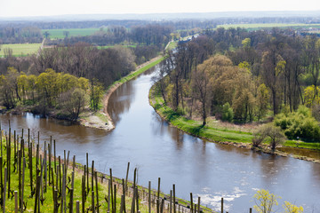 Labe river and vineyards, town Melnik, Czech republic
